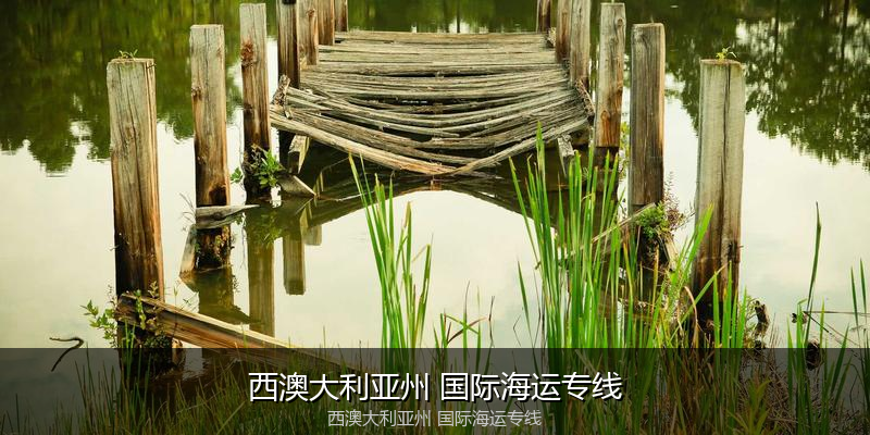 2024年中国到澳大利亚海运价格走势分析