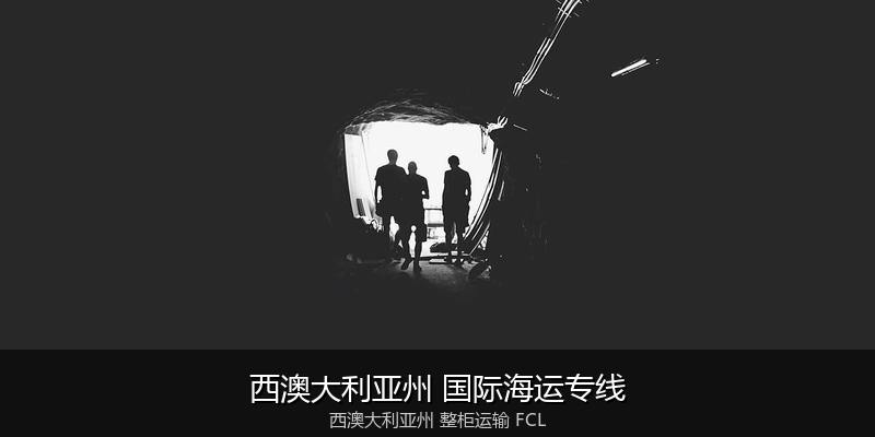 海运拼箱与整柜运输优劣对比